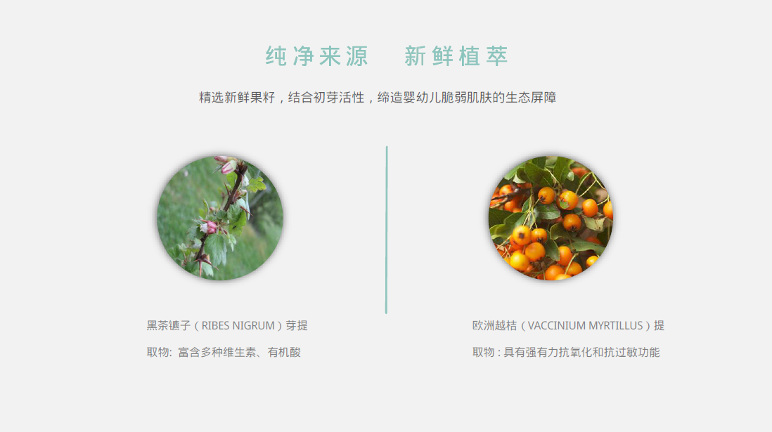 初鮮（Ciptafresh）嬰兒手口濕巾的主要成分介紹