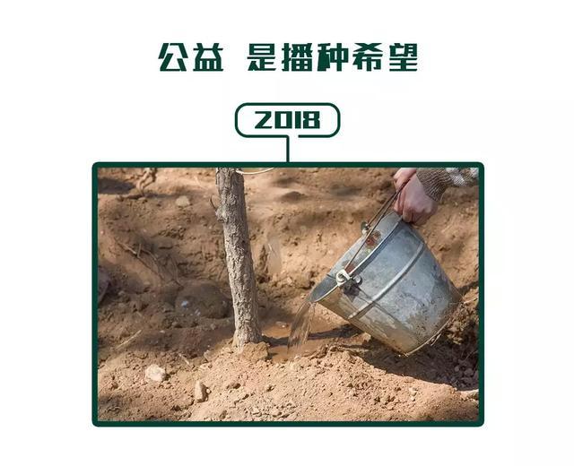 2018年阿拉善地區種下梭子樹