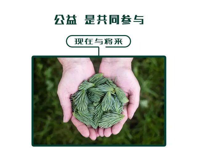 公益是共同參與